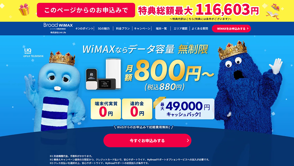 Broad WiMAX